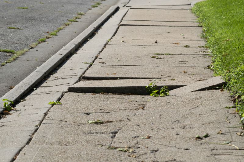 Sidewalk Replacement Alternatives
